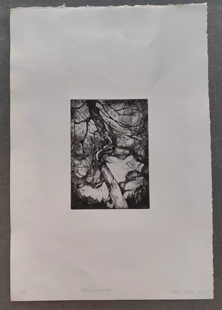 Sinioja Aino: Pirunvaara - Pienet vedokset - t12391 - 1