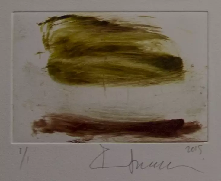 Soininen Riikka: Nimetön - Pienet vedokset - t9781 - 1