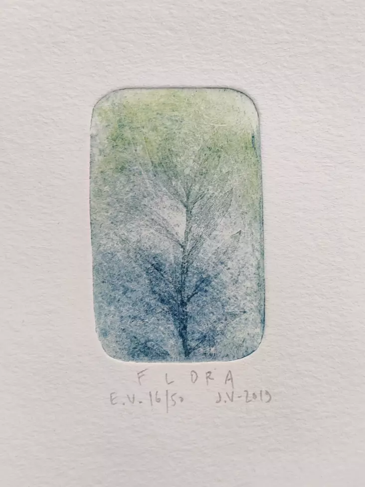 Vähäsöyrinki Joonas: Flora - Pienet vedokset - t11411 - 1