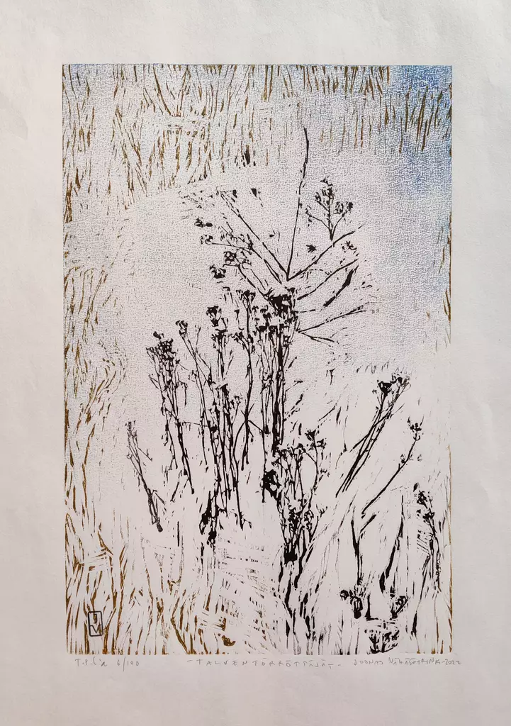 Vähäsöyrinki Joonas: Talventörröttäjät - Keskisuuret vedokset - t12051 - 1