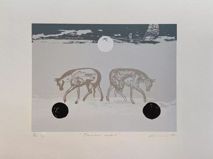 Virve Lilja: Taivaan merkit - Keskisuuret vedokset - t11911 - 1