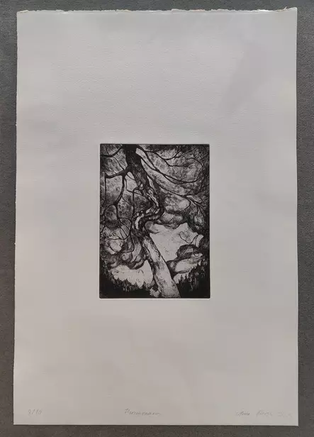 Sinioja Aino: Pirunvaara - Pienet vedokset - t12392 - 1