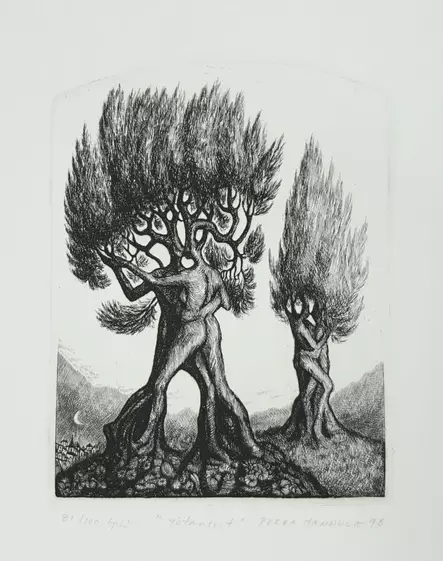 Hannula Pekka: Yötanssit - Pienet vedokset - t7002 - 1