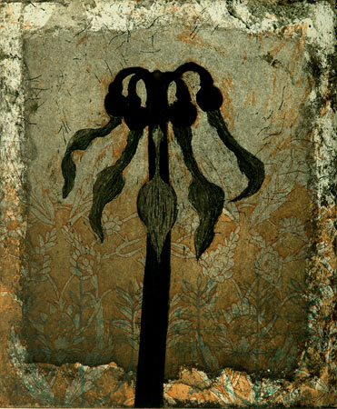 Neuvonen Kirsi: Aristolochia clematitis - Keskisuuret vedokset - t8132 - 1