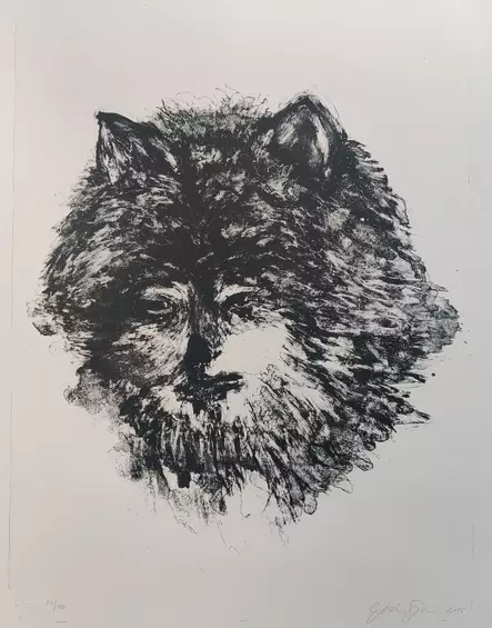 Sipilä Elina: Sudenmorsian - Keskisuuret vedokset - T9902 - 1