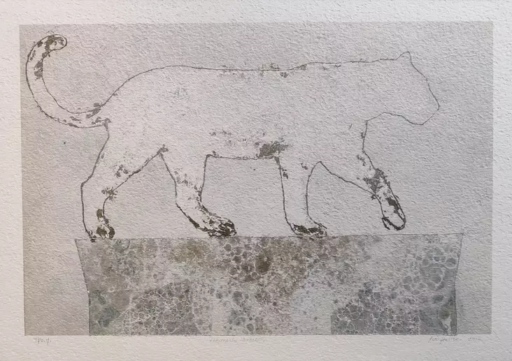 Feinik Pia: Pehmein askelin - Keskisuuret vedokset - T11482 - 1