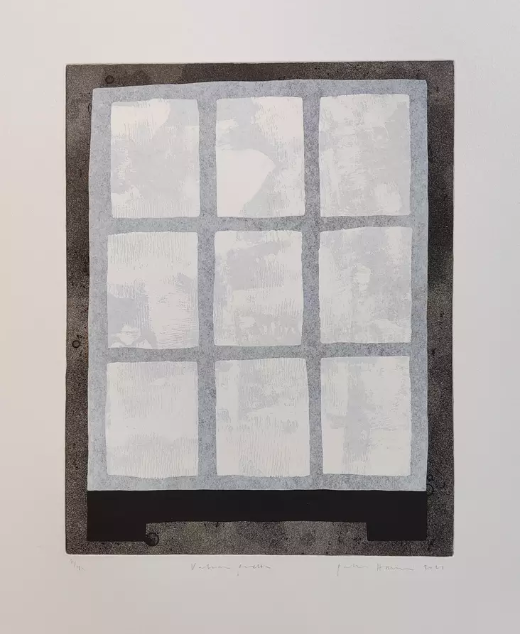 Hanni Pälvi: Valoon puettu - Keskisuuret vedokset - t11782 - 1