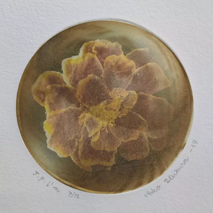 Heikura Asko: Sarjasta Apostolit - Pienet vedokset - T11332 - 1