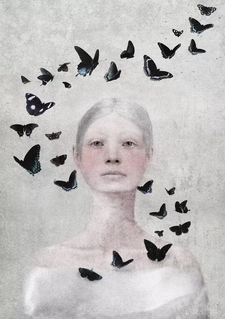 Hintsanen Päivi: Ancienne noblesse: Regina spei - Keskisuuret vedokset - t11982 - 1