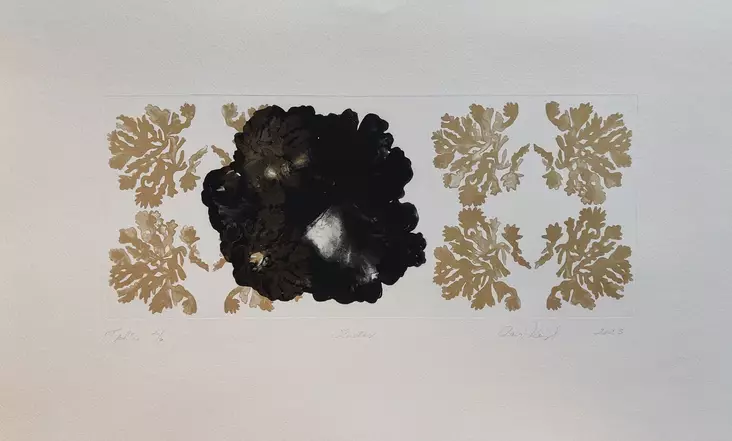 Korppila Raija: Keidas - Keskisuuret vedokset - t11942 - 1