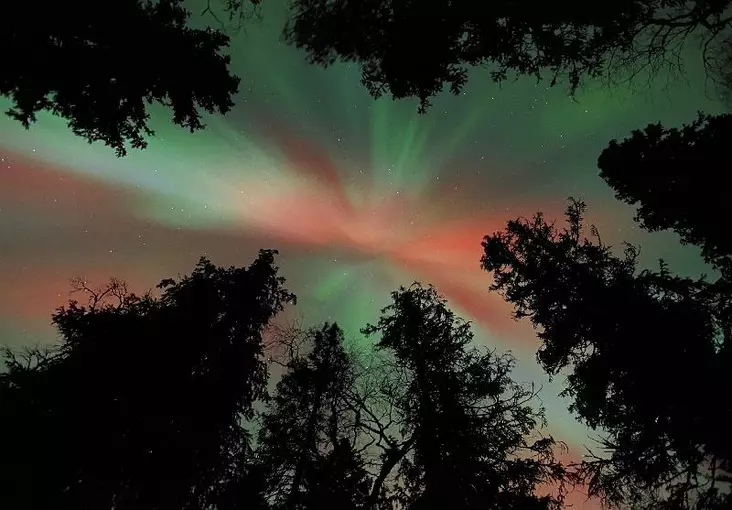 Luhta Jorma: Kruunu 1. - Keskisuuret vedokset - T7772 - 1