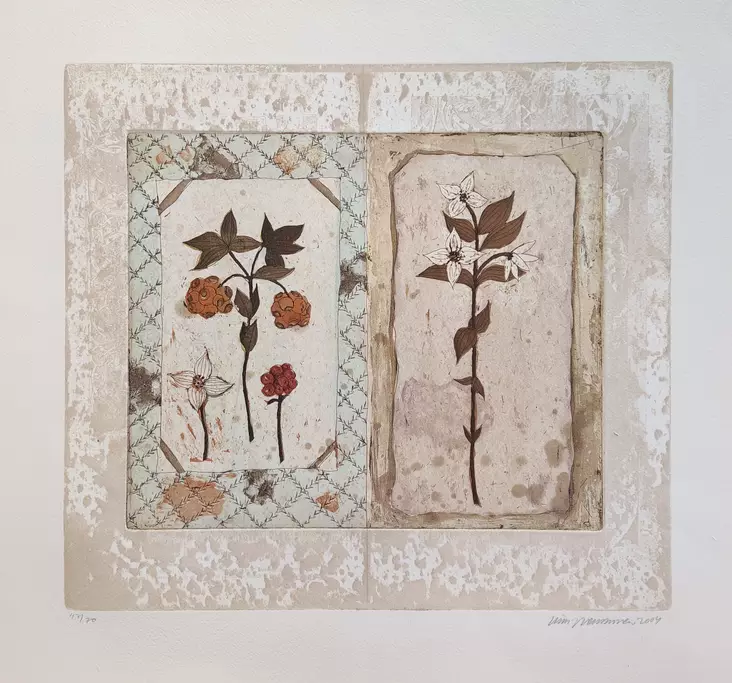 Neuvonen Kirsi: Valkovuokko - Keskisuuret vedokset - T5562 - 1