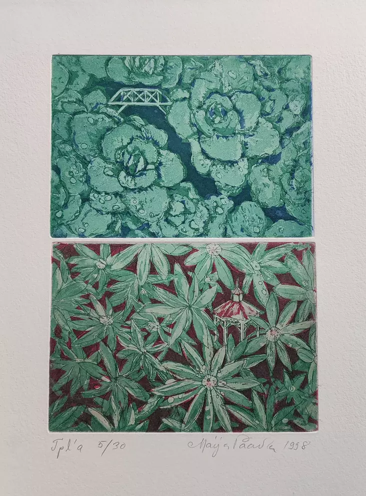 Paavola Maija: Ainola - Pienet vedokset - t11882 - 1