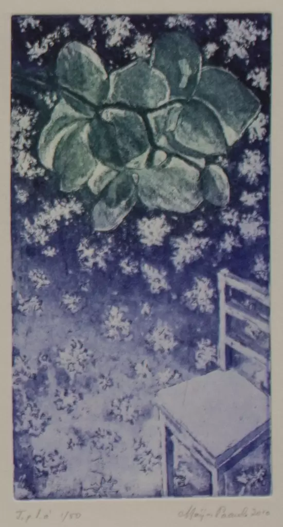 Paavola Maija: Minun ikäväni - Pienet vedokset - t7242 - 1