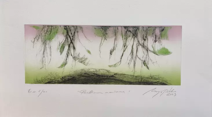 Pitko Marjo (Hyttinen): Poeettinen maisema (3) - Keskisuuret vedokset - t11872 - 1