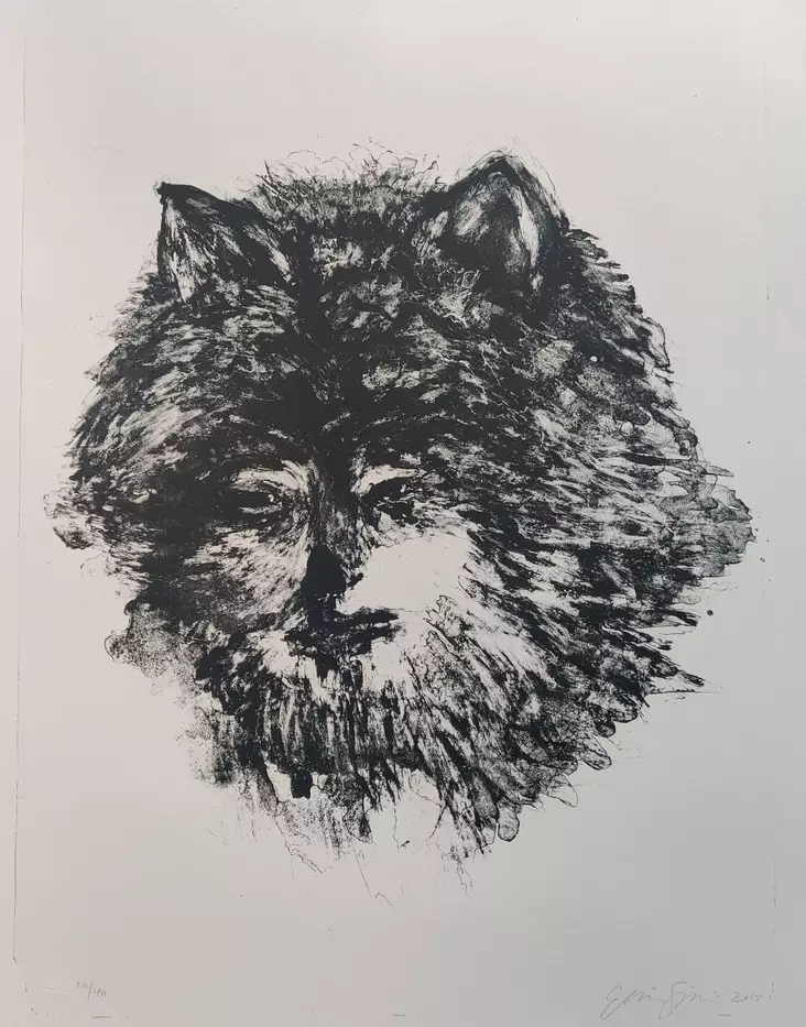 Sipilä Elina: Sudenmorsian - Keskisuuret vedokset - T9902 - 1