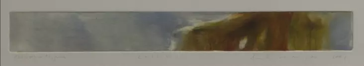 Soininen Riikka: Kolossi - Pienet vedokset - t7992 - 1