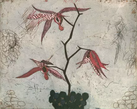 Neuvonen Kirsi: Ozorkidea - Pienet vedokset - t10923 - 1