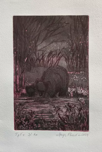 Paavola Maija: Jano - Pienet vedokset - t12183 - 1