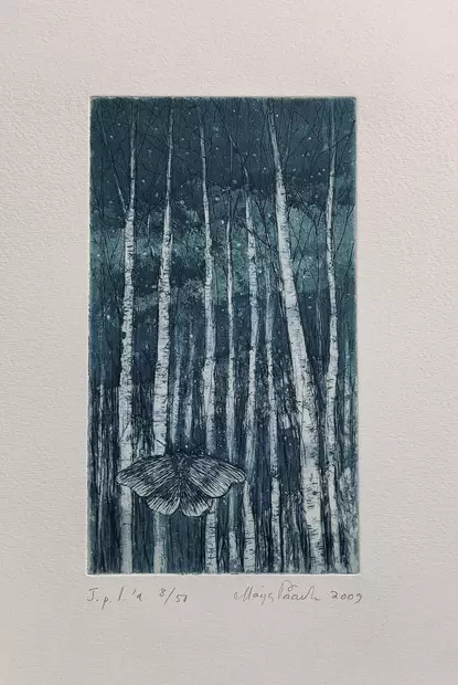 Paavola Maija: Yölento - Pienet vedokset - t11883 - 1