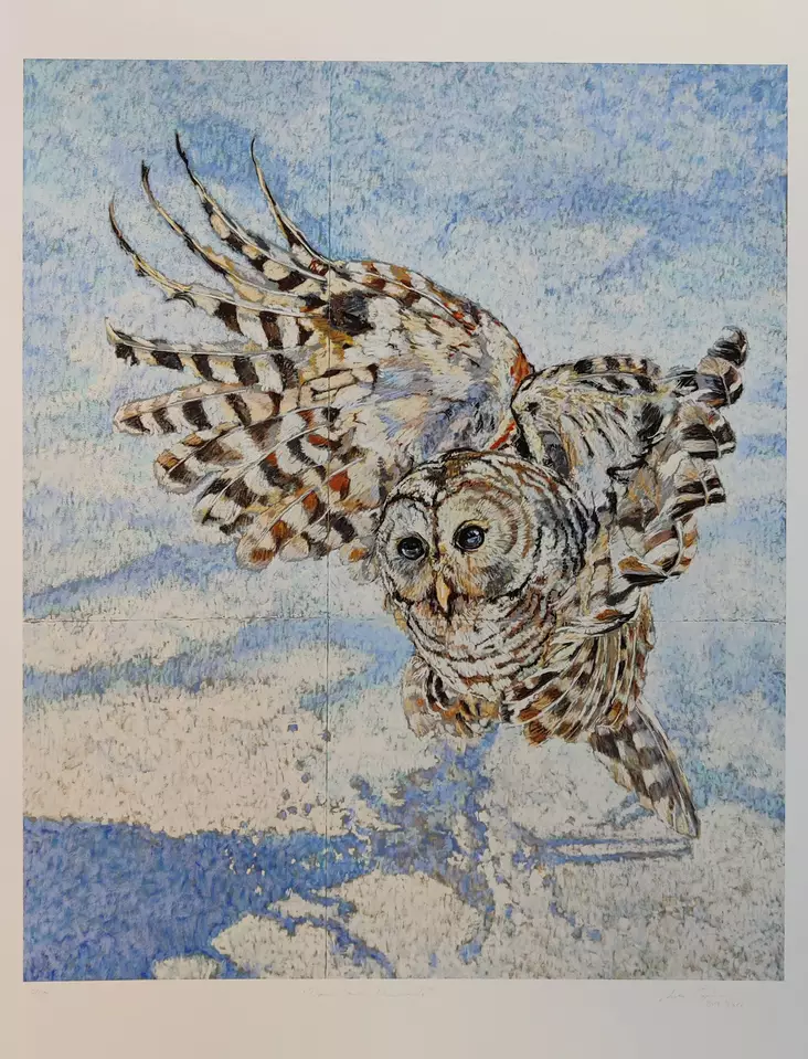 Caplan Asta: Down and Diamonds - Keskisuuret vedokset - t10013 - 1