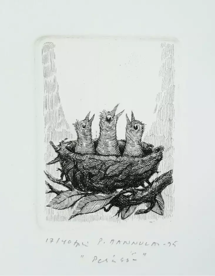 Hannula Pekka: Pesässä - Pienet vedokset - t9983 - 1