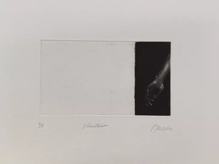 Kivinen Tiina: Sivullinen - Pienet vedokset - t12173 - 1