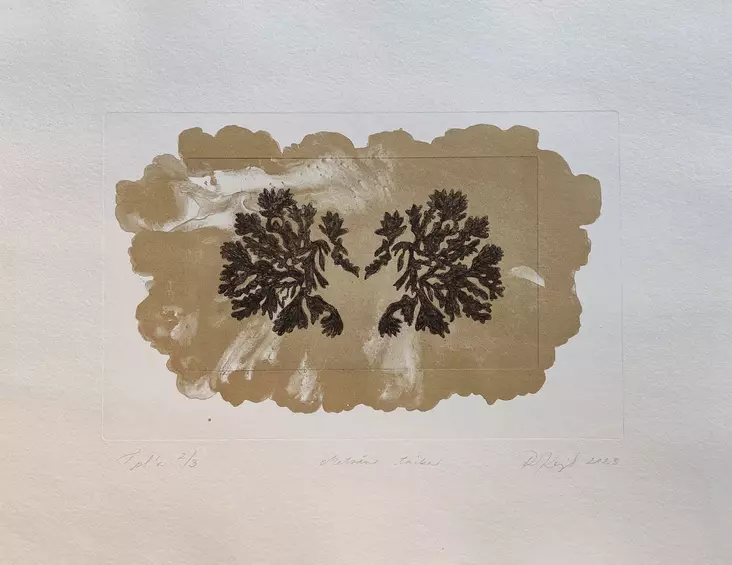 Korppila Raija: Metsän taika - Keskisuuret vedokset - t11943 - 1