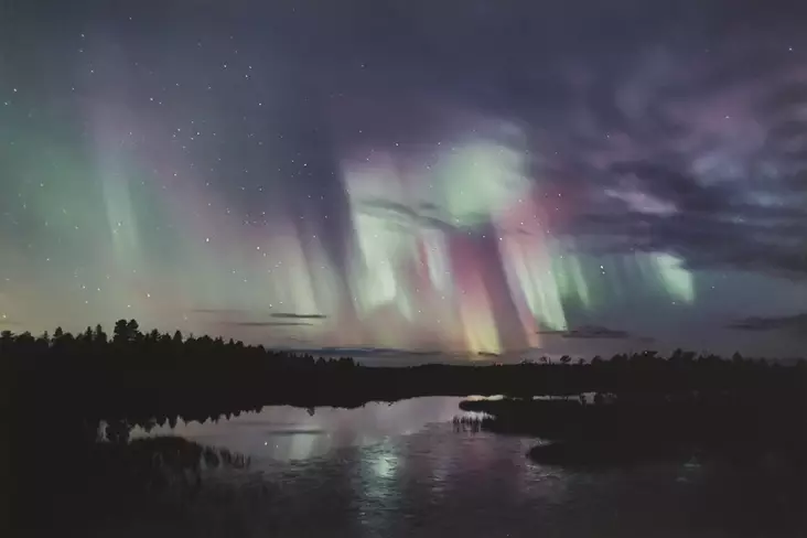 Luhta Jorma: Valokuva 5 - Keskisuuret vedokset - t7803 - 1