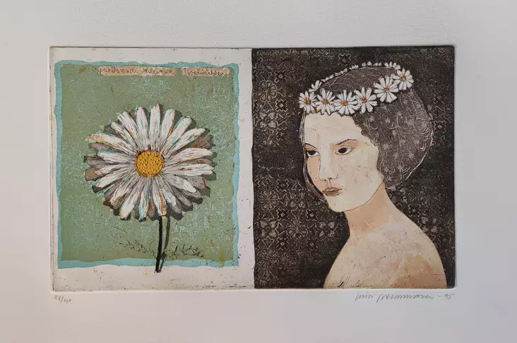 Neuvonen Kirsi: Iso päivänkakkara - Keskisuuret vedokset - T8613 - 1