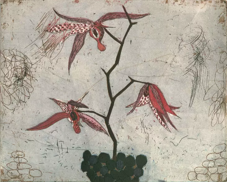 Neuvonen Kirsi: Ozorkidea - Pienet vedokset - t10923 - 1