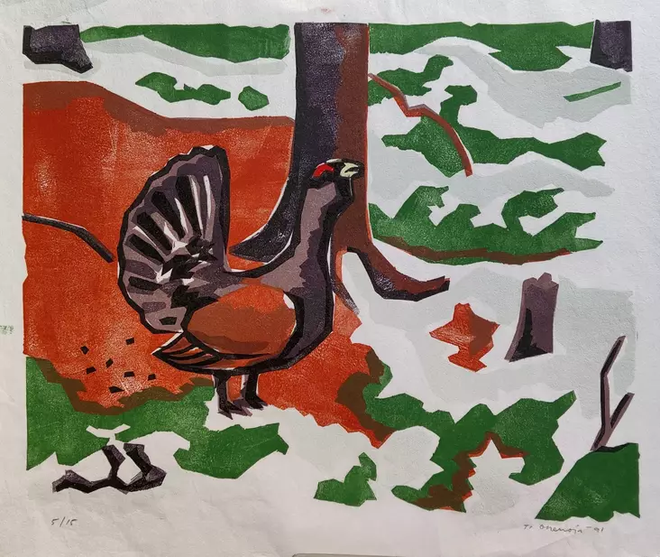 Ohenoja Tauno: Ukkometso - Keskisuuret vedokset - T7473 - 1