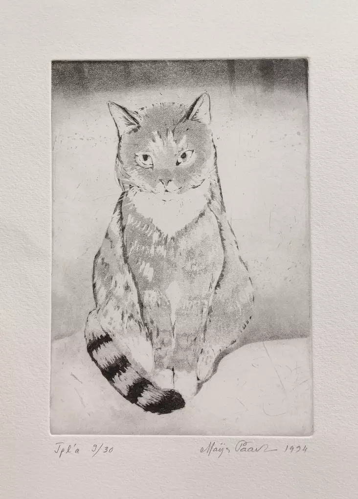 Paavola Maija: Kissa - Pienet vedokset - t12103 - 1