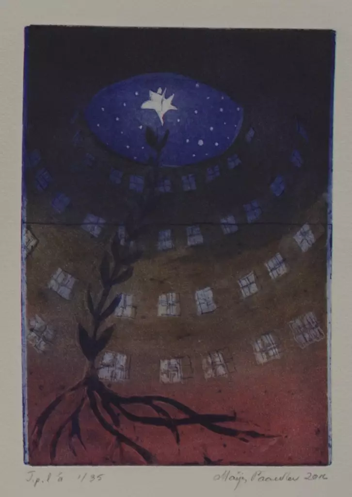 Paavola Maija: Korkeuksiin - Pienet vedokset - t9733 - 1