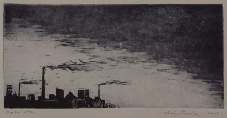 Paavola Maija: Tuulen suunta - Pienet vedokset - t6223 - 1