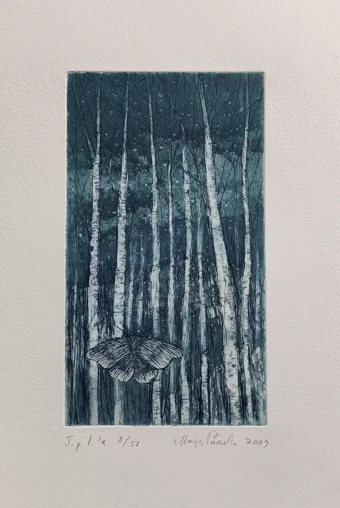 Paavola Maija: Yölento - Pienet vedokset - t11883 - 1