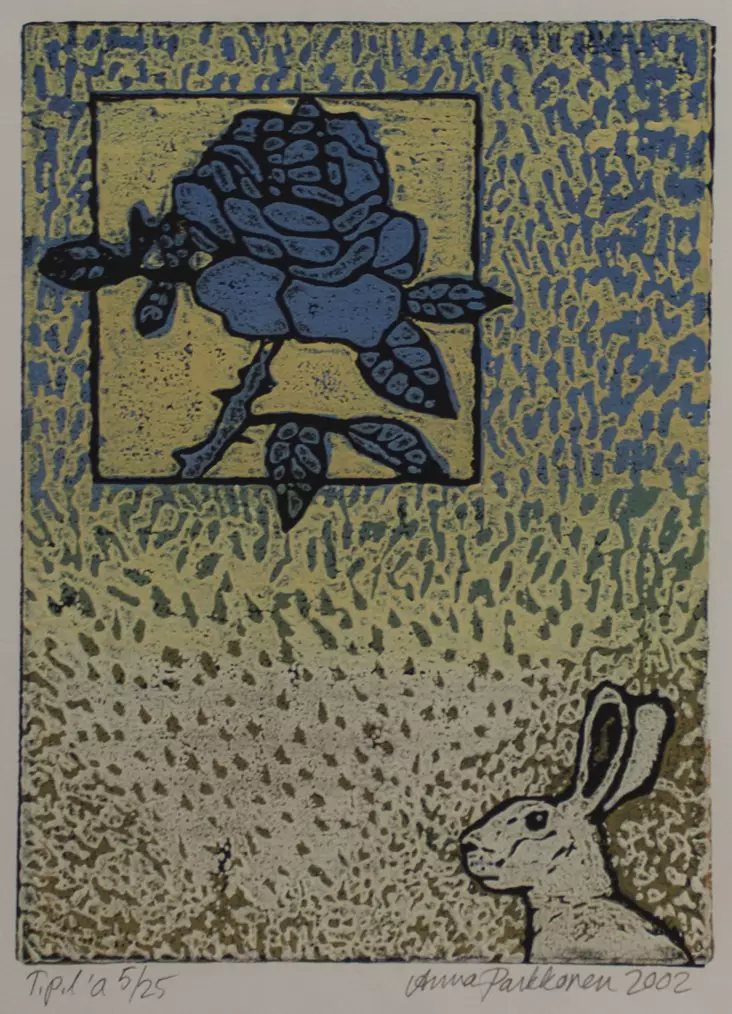 Parkkonen Anna: Ruusuikkuna - Pienet vedokset - t6443 - 1