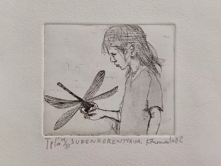 Tuomaala Kaisu: Sudenkorentoaika - Pienet vedokset - t12083 - 1