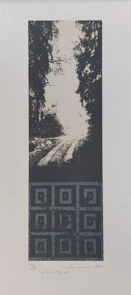 Virve Lilja: Kääntöpiste - Pienet vedokset - t11933 - 1