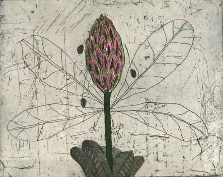 Neuvonen Kirsi: Sokerikäpy - Pienet vedokset - t10924 - 1