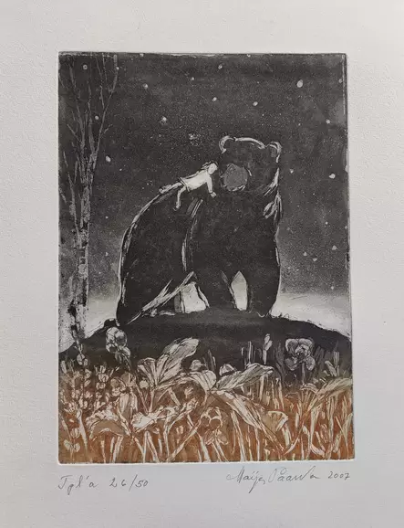 Paavola Maija: Pitkä matka kotiin - Pienet vedokset - t11884 - 1