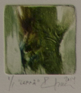 Soininen Riikka: Leppä - Pienet vedokset - t9494 - 1