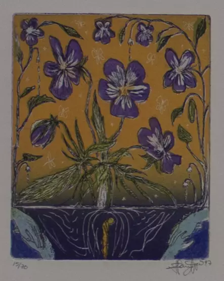 Varis Hanna: Orvokki - Pienet vedokset - t2454 - 1