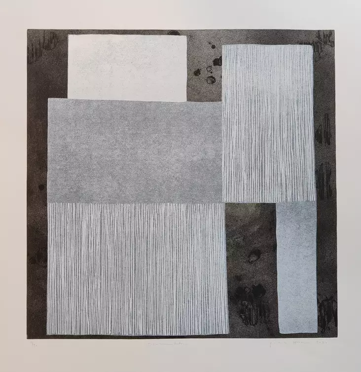 Hanni Pälvi: Tilasuunnitelma - Suuret vedokset - t11774 - 1