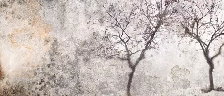 Hintsanen Päivi: Itkupihlaja - Keskisuuret vedokset - t11014 - 1