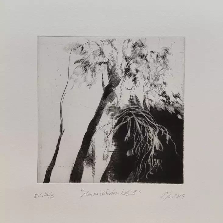 Kivinen Tiina: Menninkäisen koti II - Pienet vedokset - t12174 - 1