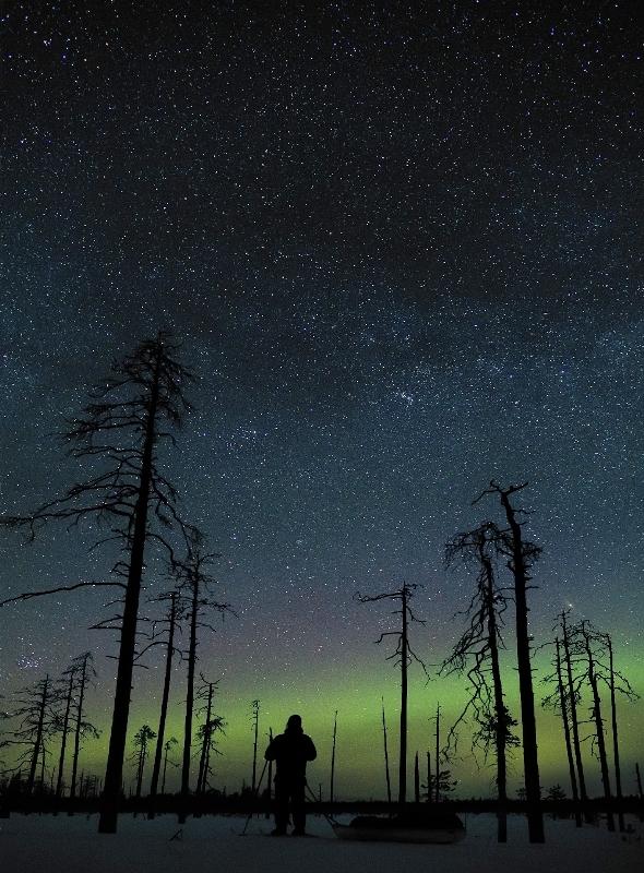 Luhta Jorma: 6 - Keskisuuret vedokset - T7804 - 1