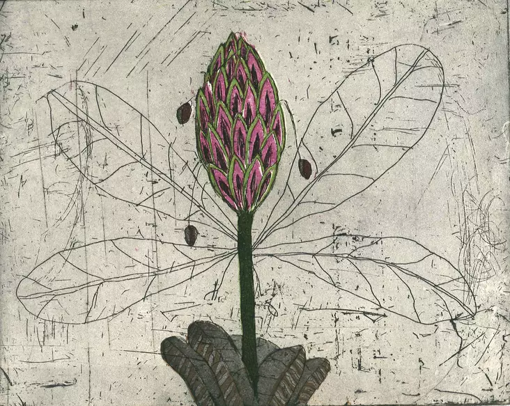 Neuvonen Kirsi: Sokerikäpy - Pienet vedokset - t10924 - 1