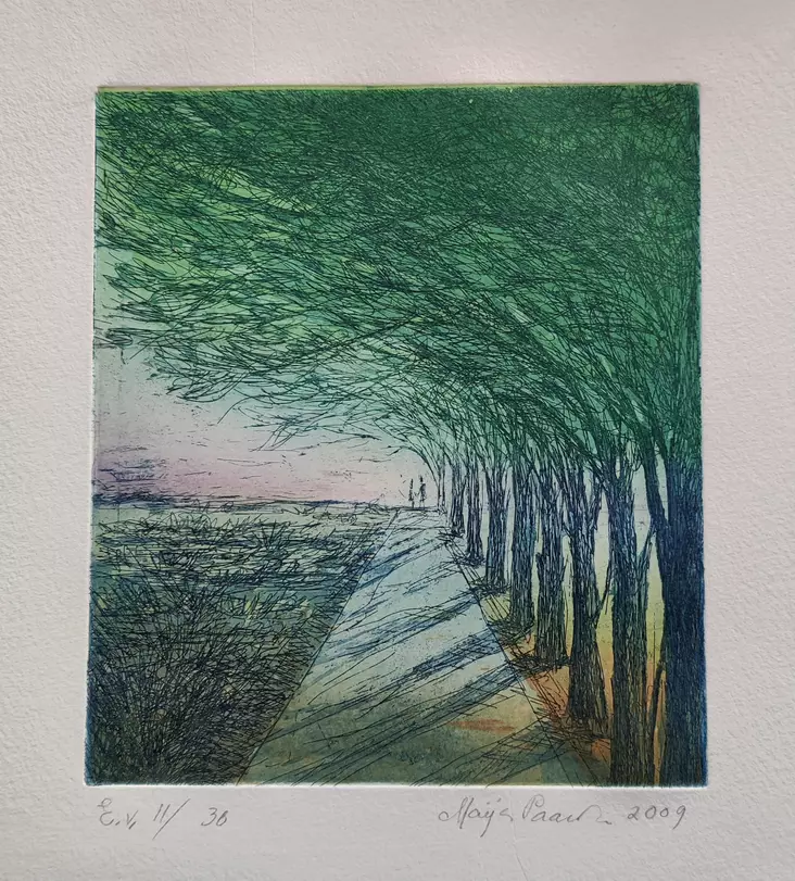 Paavola Maija: Hetki - Pienet vedokset - t12134 - 1