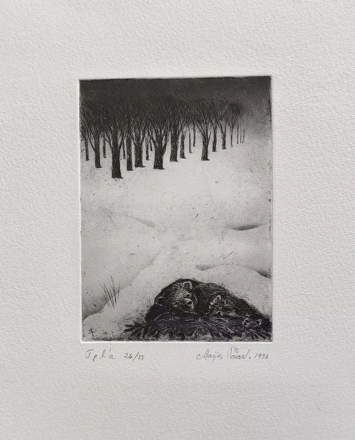 Paavola Maija: Talviuni - Pienet vedokset - T11424 - 1